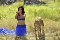 Mogudu New Stills